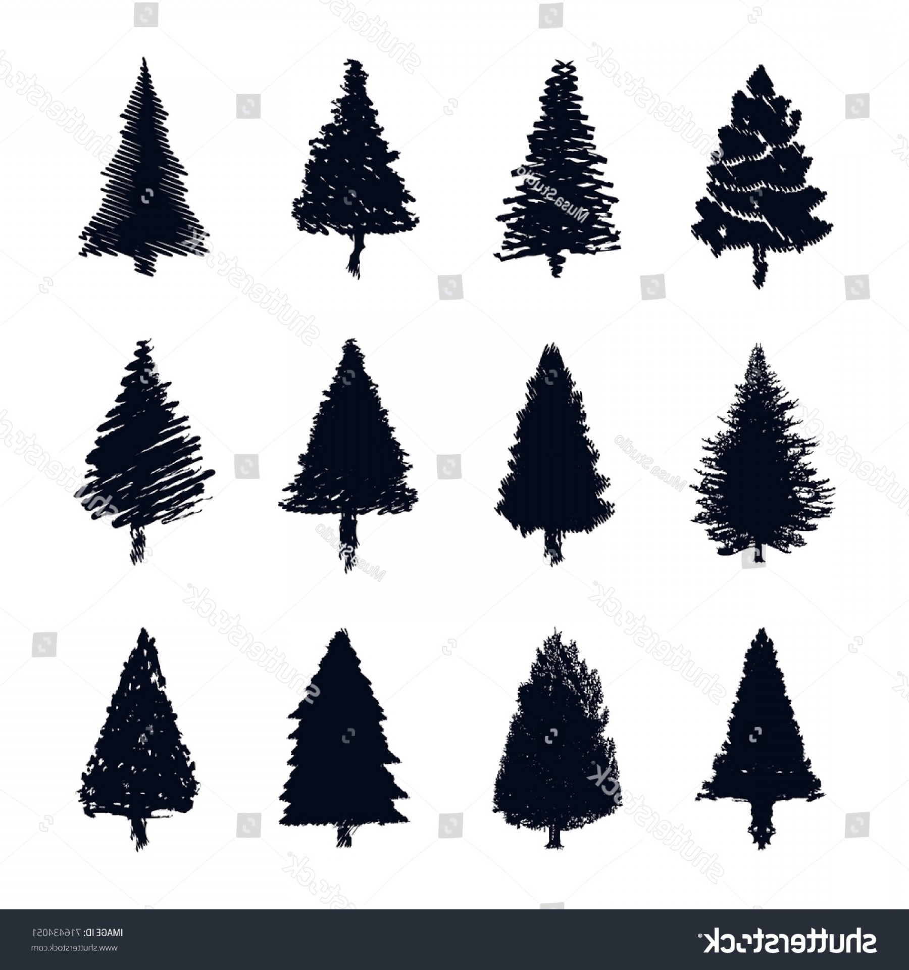 1800x1920 Pine Tree Silhouette Vector Set Soidergi