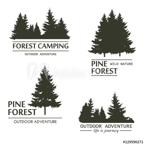 500x500 Pine Tree Forest Silhouette Vector