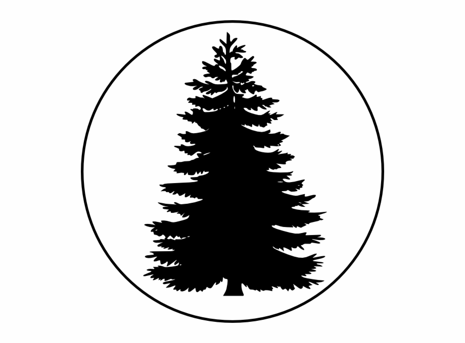 920x680 Pix For Evergreen Tree Outline