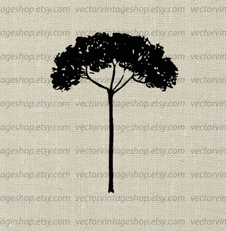 794x809 Tree Silhouette Vector Clipart Pine Tree Clip Art Commercial Etsy