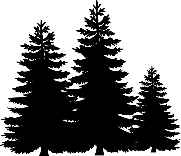 Pine Tree Vector