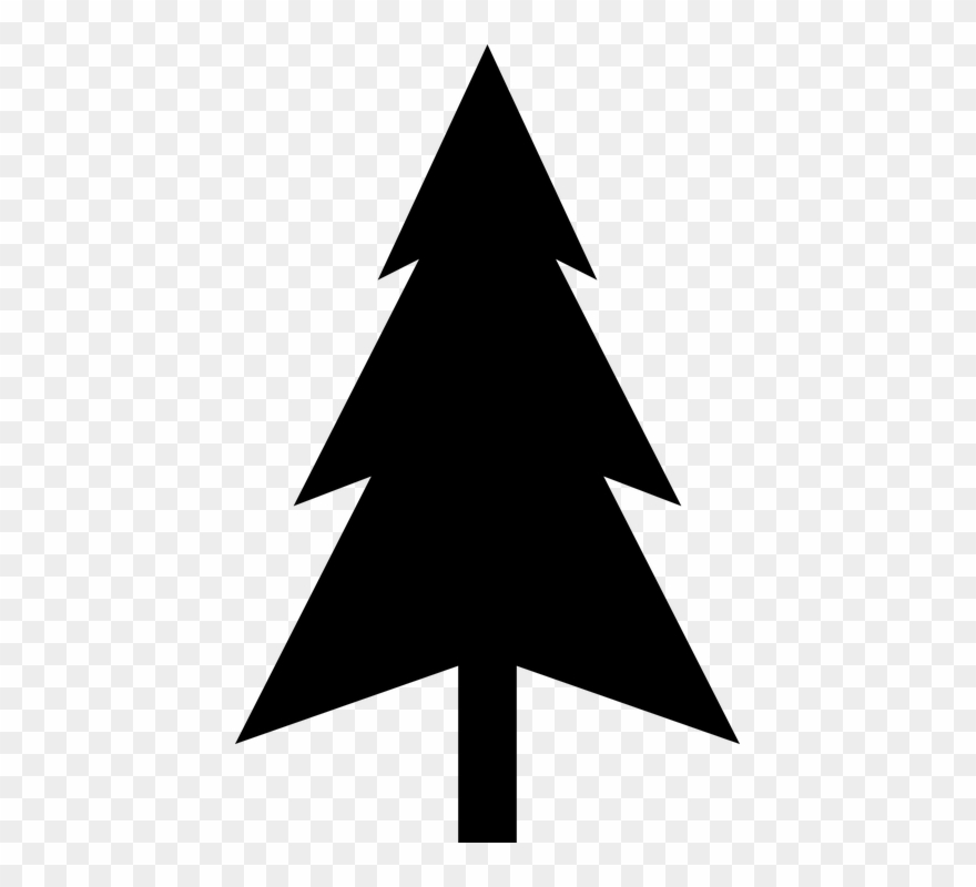 880x800 Pine Tree Vector Buy Clip Art