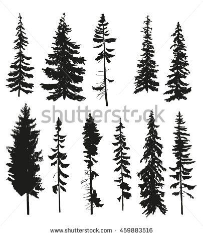 405x470 Vector Silhouettes Different Pine Trees Stock Vector