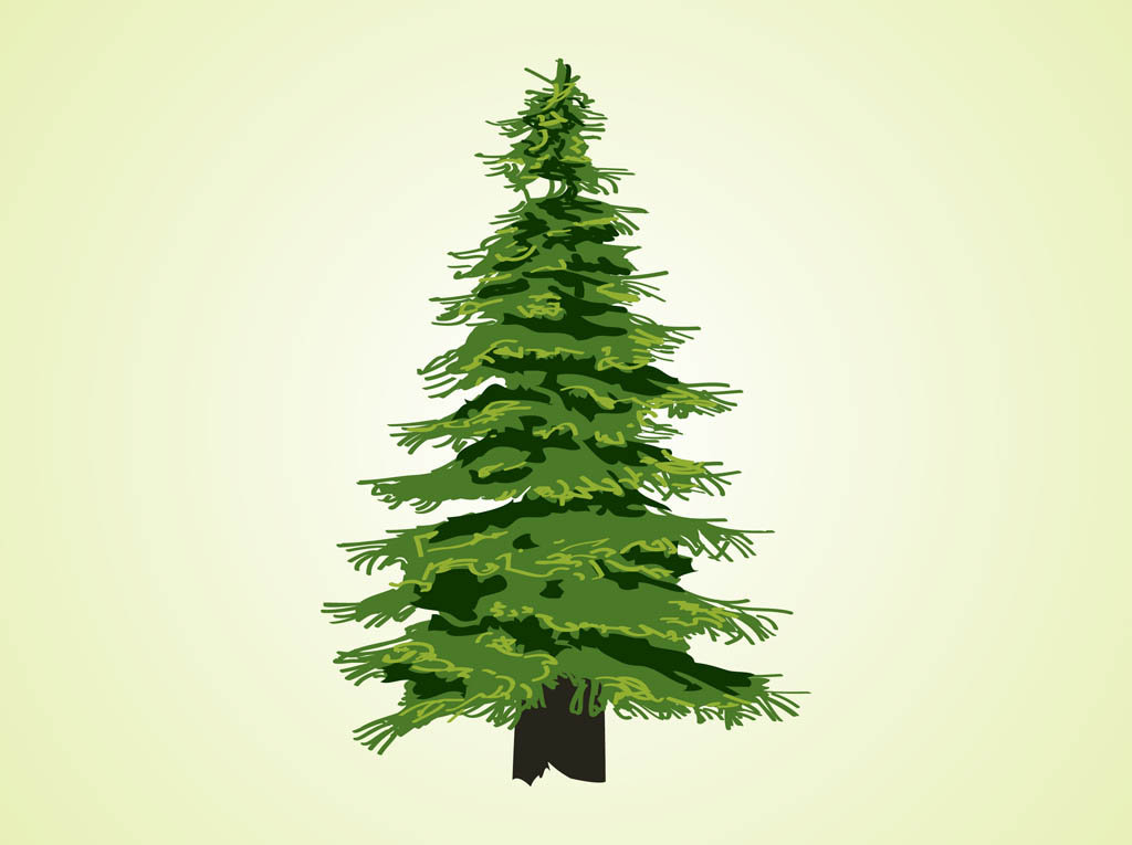 Evergreen Tree Vector Vector Art Graphics 1024x765 Evergreen Tree Vector Vector Art Graphics