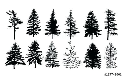 Free Pine Trees Image Texas Vector Art Clipart 500x315 Free Pine Trees Image Texas Vector Art Clipart