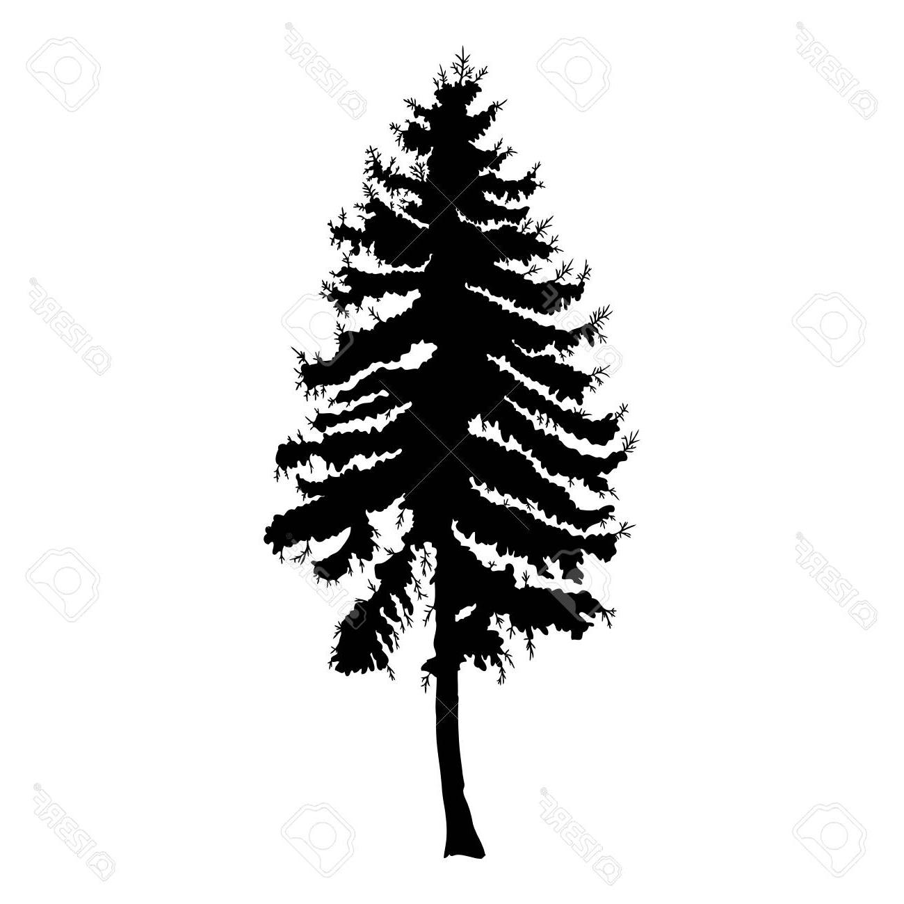 Pine Trees Vector 1300x1300 Pine Trees Vector