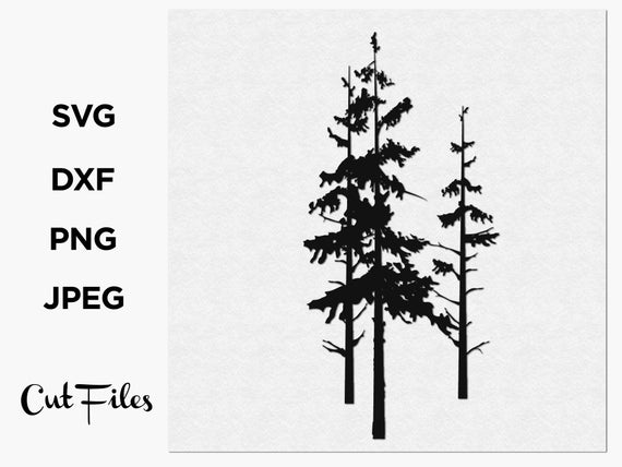 Pine Tree Vector Art at Vectorified.com | Collection of Pine Tree ...