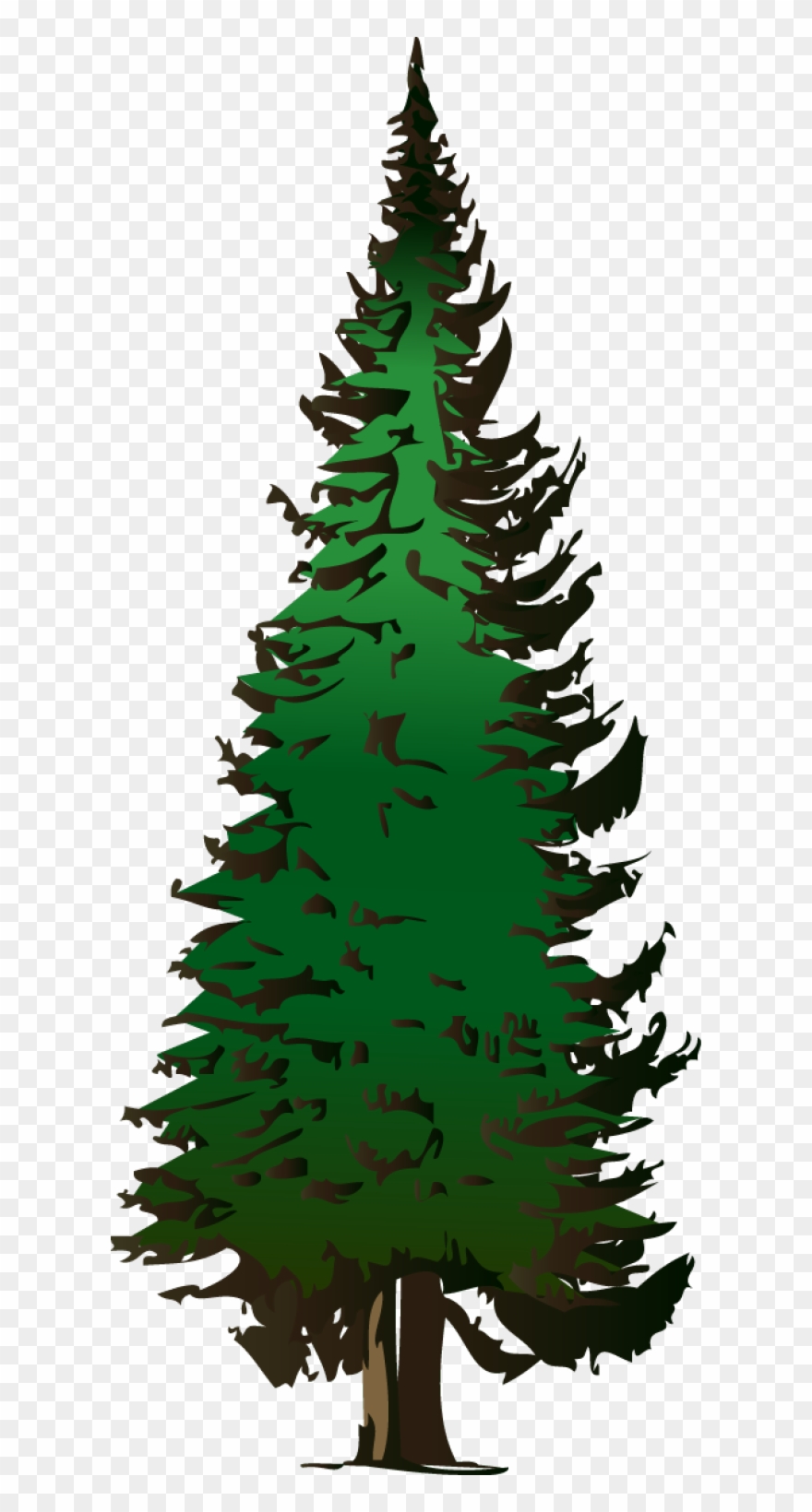 Pine Tree Vector Free at Vectorified.com | Collection of Pine Tree ...