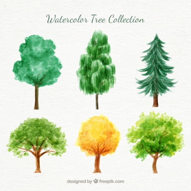 Pine Tree Vectors, Photos And Free Download 626x626 Pine Tree Vectors, Photos And Free Download