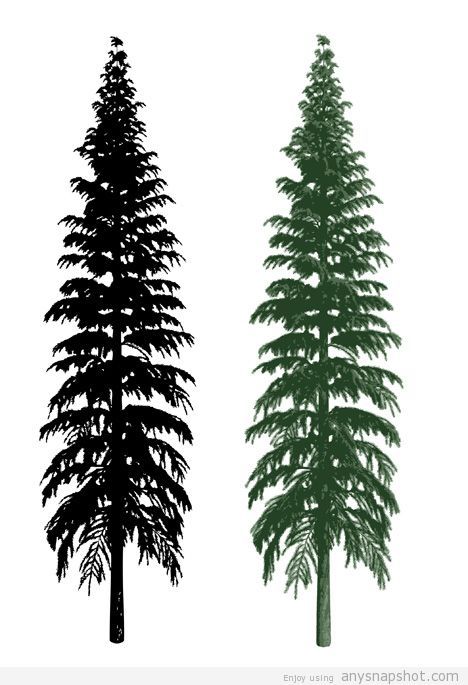 Sillhouette And Realistic Tree Vector 468x685 Sillhouette And Realistic Tree Vector