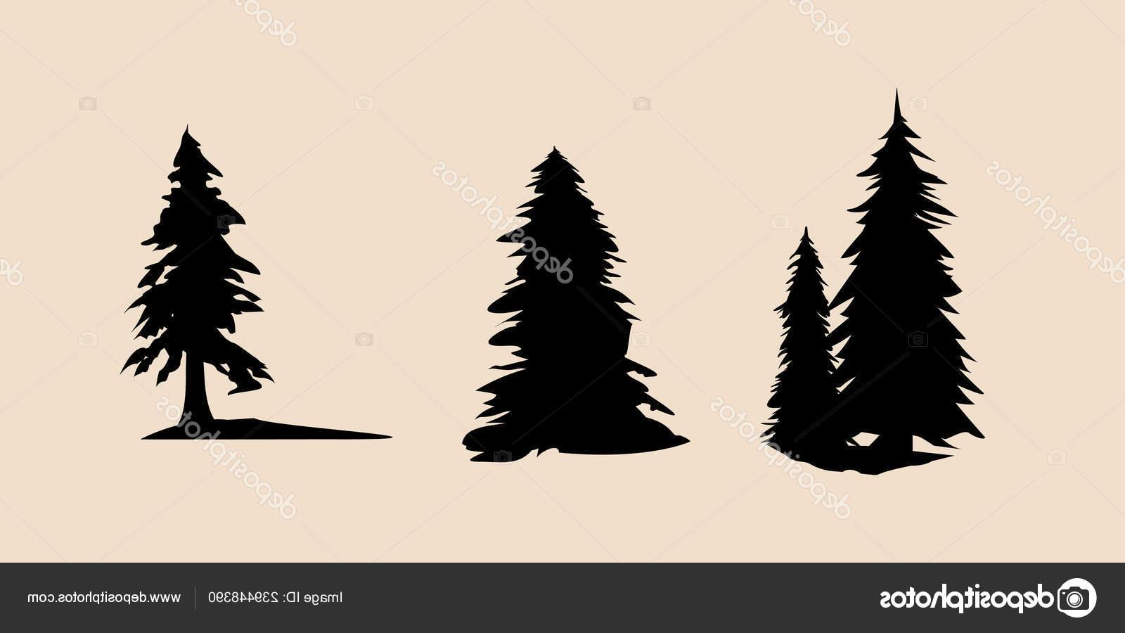 Unique Pine Trees Vector Image Vector Images Design 1600x900 Unique Pine Trees Vector Image Vector Images Design