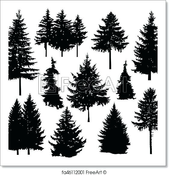 Pine Trees Black And White 561x581 Pine Trees Black And White