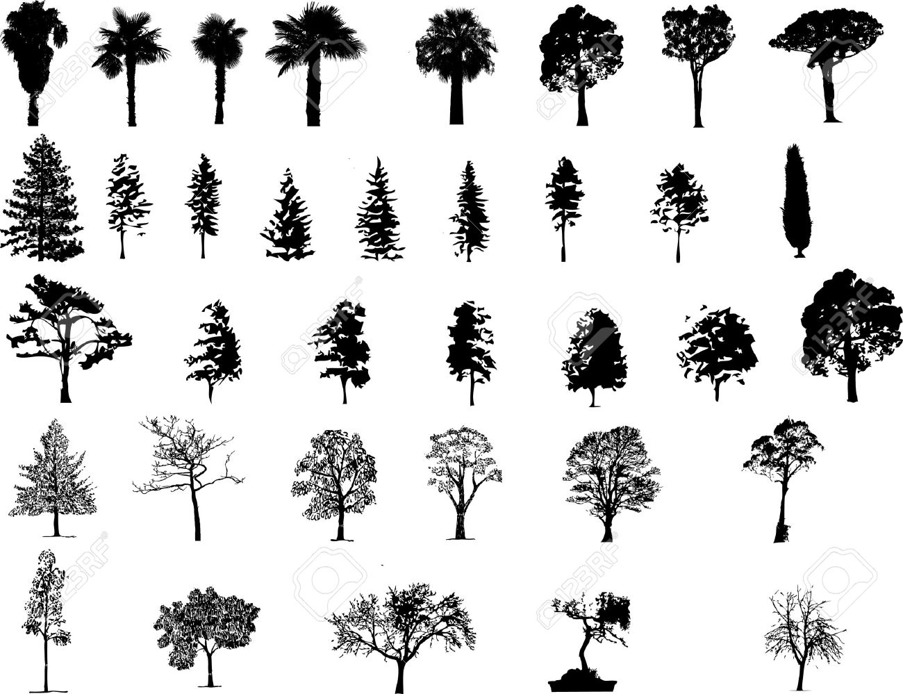 Collection Of 'free Pine Tree Silhouette Vector' Download More 1300x999 Collection Of 'free Pine Tree Silhouette Vector' Download More