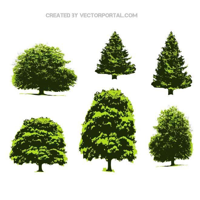 Pine Tree Vector Free Download