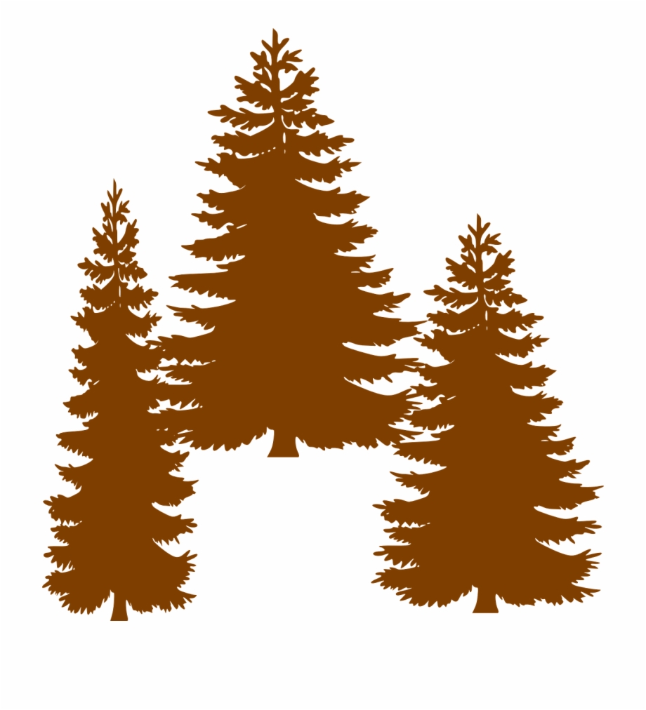 920x1012 Pine Fir Tree Evergreen Clip Art
