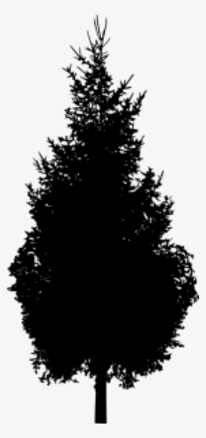 300x638 Pine Tree Silhouette Png, Transparent Pine Tree Silhouette Png