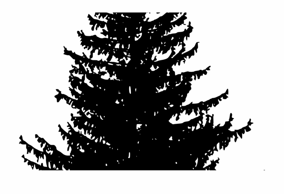 920x631 Vector Trees Png For Free Download On Mbtskoudsalg