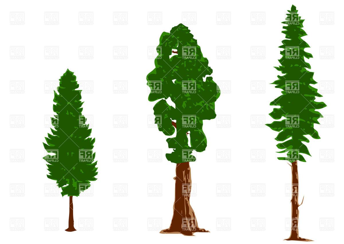 1200x853 Best Hd Silhouettes Of Pine Trees Download Royalty Free Vector