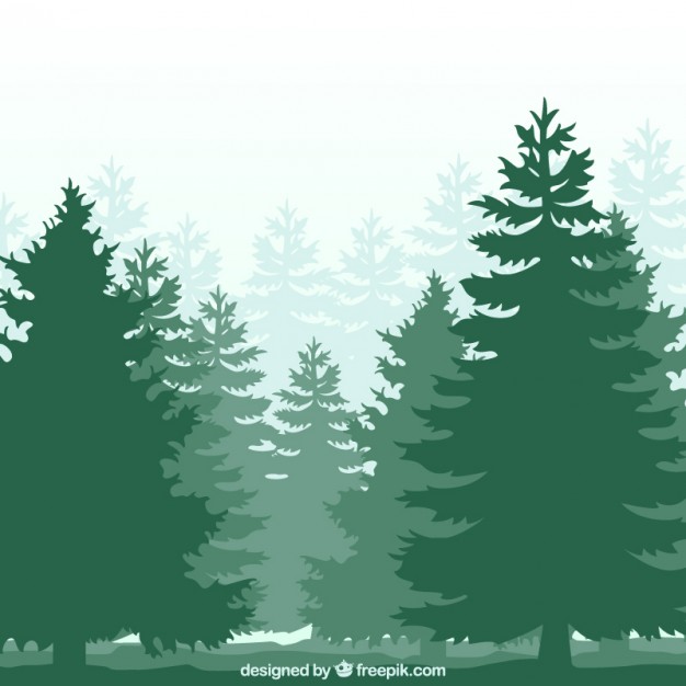 626x626 Vectors Of Trees Free Vector Graphics Everypixel
