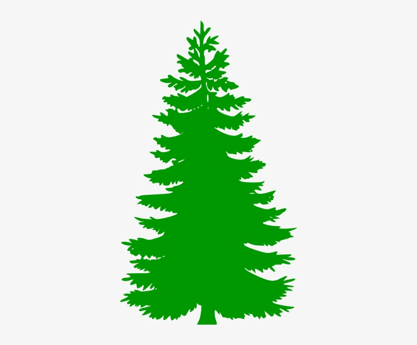 820x678 Winter Pine Trees Clipart Pine Tree Clip Png