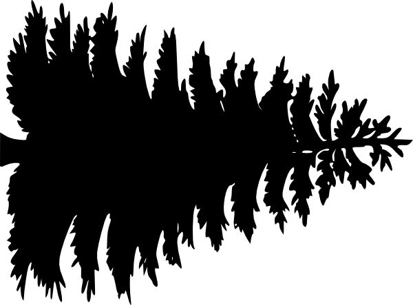 600x443 Download Pine Tree Outline Large Pine Tree Vector Clipart Png Free