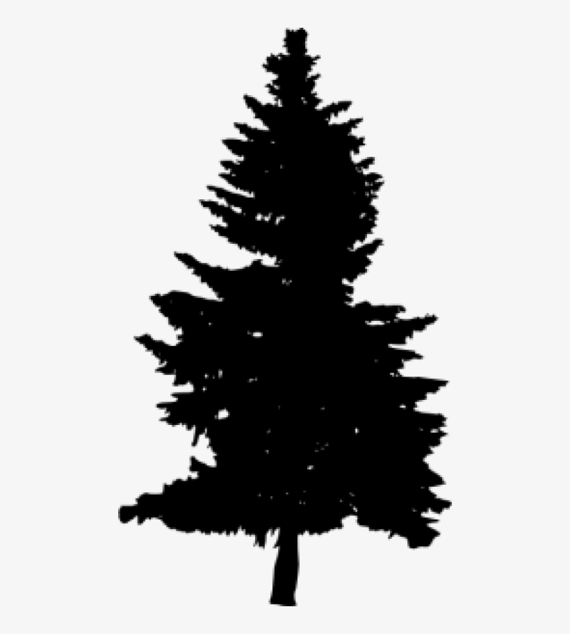 Download Pine Tree Vector Png at Vectorified.com | Collection of ...