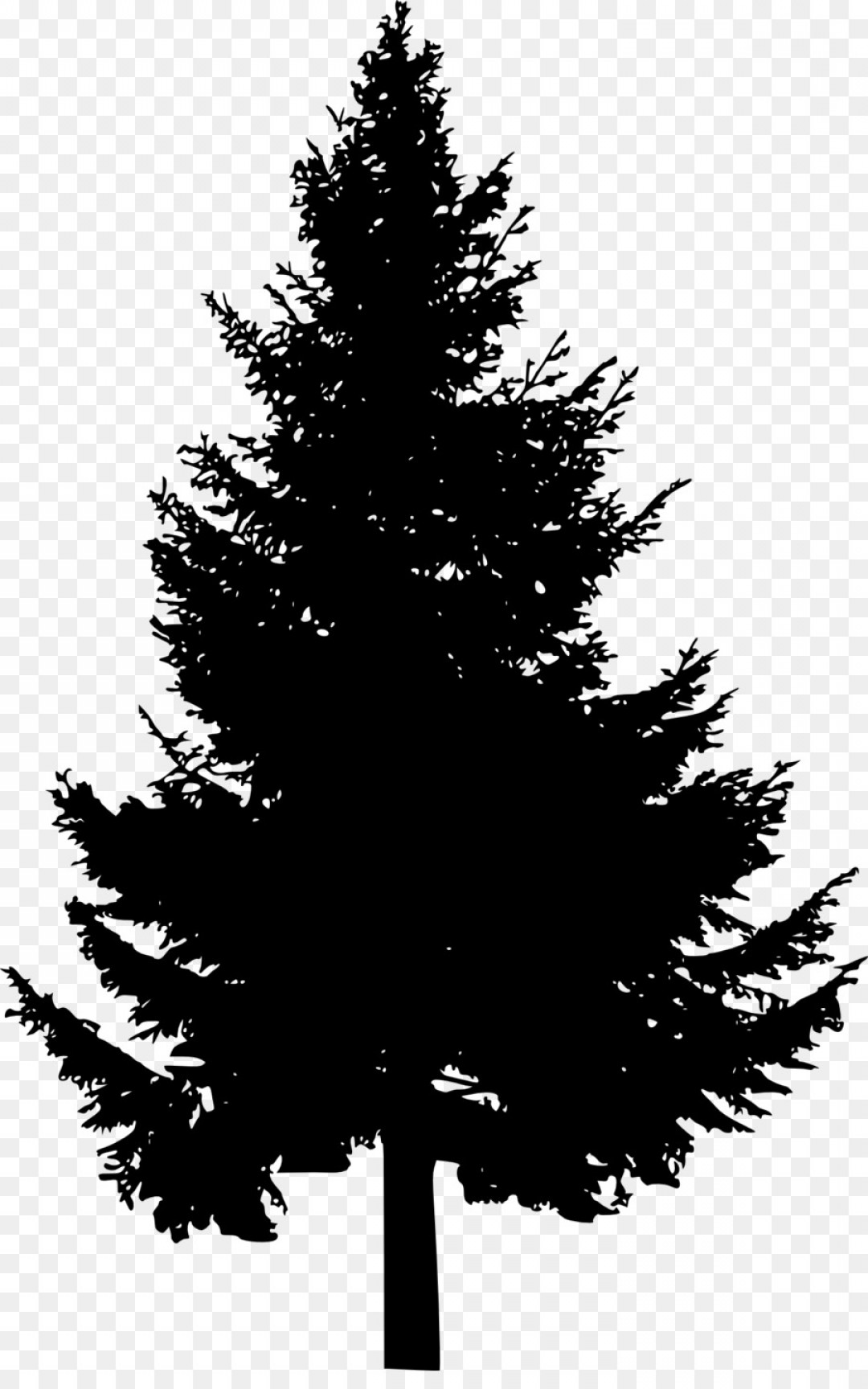 Download Pine Tree Vector Png at Vectorified.com | Collection of ...