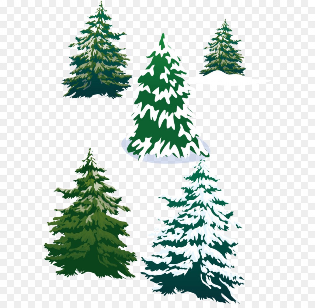 1080x1056 Png Vector Snowy Pine Trees Soidergi
