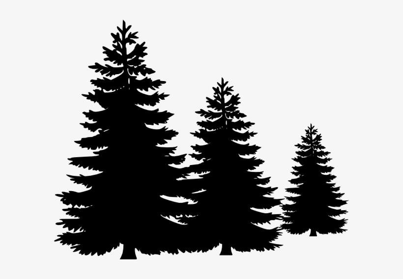 820x568 Vector Clipart Pine Tree