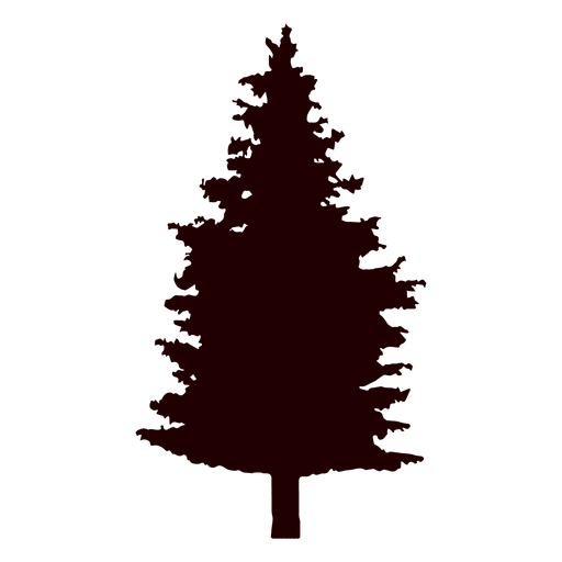512x512 Fir Tree Vector