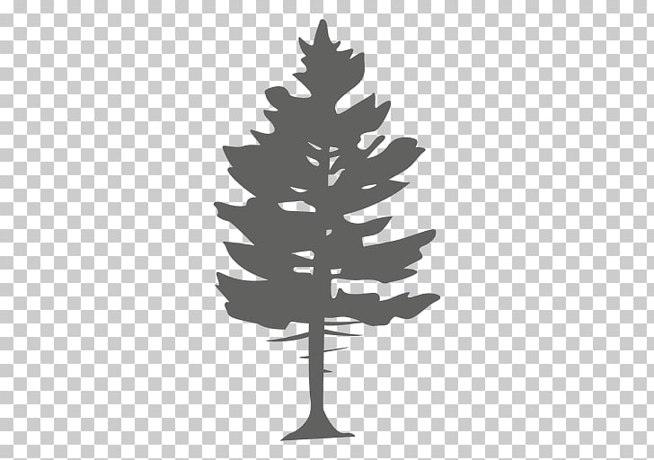 Pine Vector