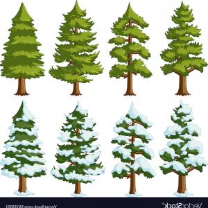 300x300 Pine Tree Merry Christmas Icon Graphic Vector Studiogrfx