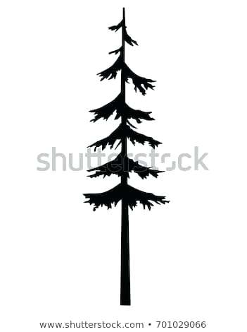 351x470 Art Tree Silhouette Pine Vector Tattoo Stock Royalty Free Template