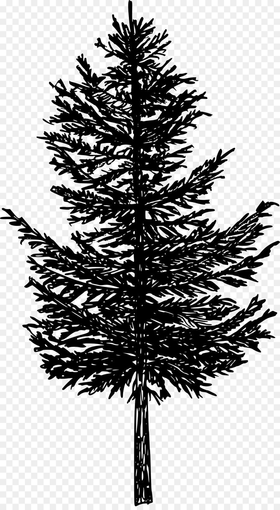 900x1640 Christmas Tree Line Drawing Clipart