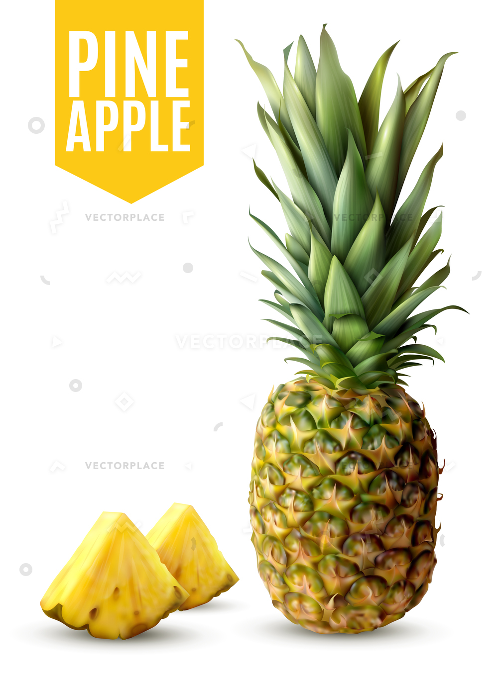 1000x1375 Realistic Ripe Pineapple Two Fresh Slices Vector Illustration