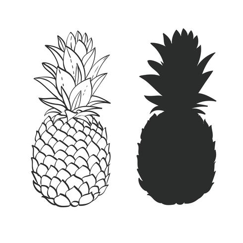 Black And White Pineapple 490x490 Black And White Pineapple