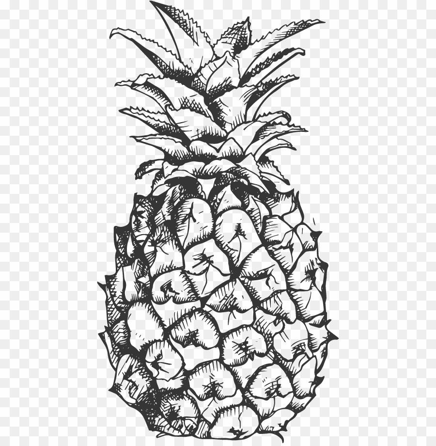 Pineapple Vector Black And White Png Pineapple Clipart Download 900x920 Pineapple Vector Black And White Png Pineapple Clipart Download