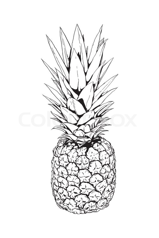 Black And White Illustration Of A Stock Vector Colourbox 533x800 Black And White Illustration Of A Stock Vector Colourbox