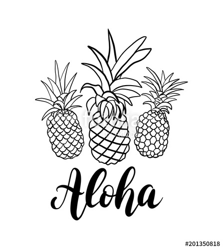 Vector Set Of Five Pineapple Fruit Tropical Summer Vacation 447x500 Vector Set Of Five Pineapple Fruit Tropical Summer Vacation