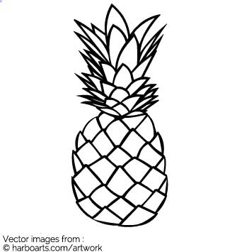Download Hand Drawn Pineapple 335x355 Download Hand Drawn Pineapple
