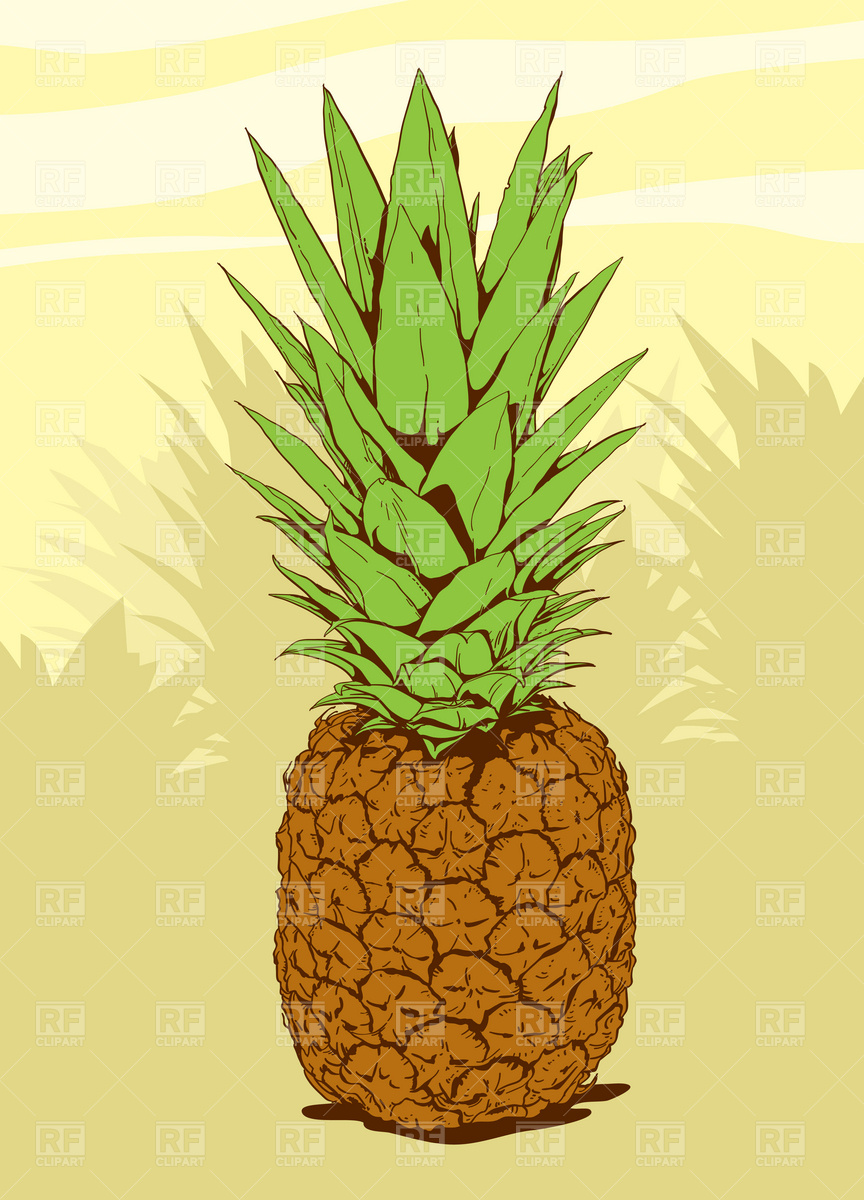 864x1200 Pineapple Vector Image Of Food And Beverages Czaroot
