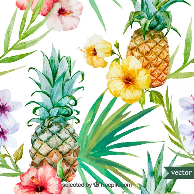 626x626 Pineapple Vectors, Photos And Free Download