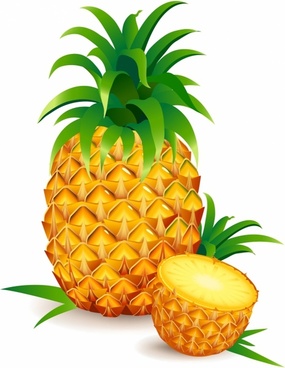 285x368 Pineapple Free Vector Download