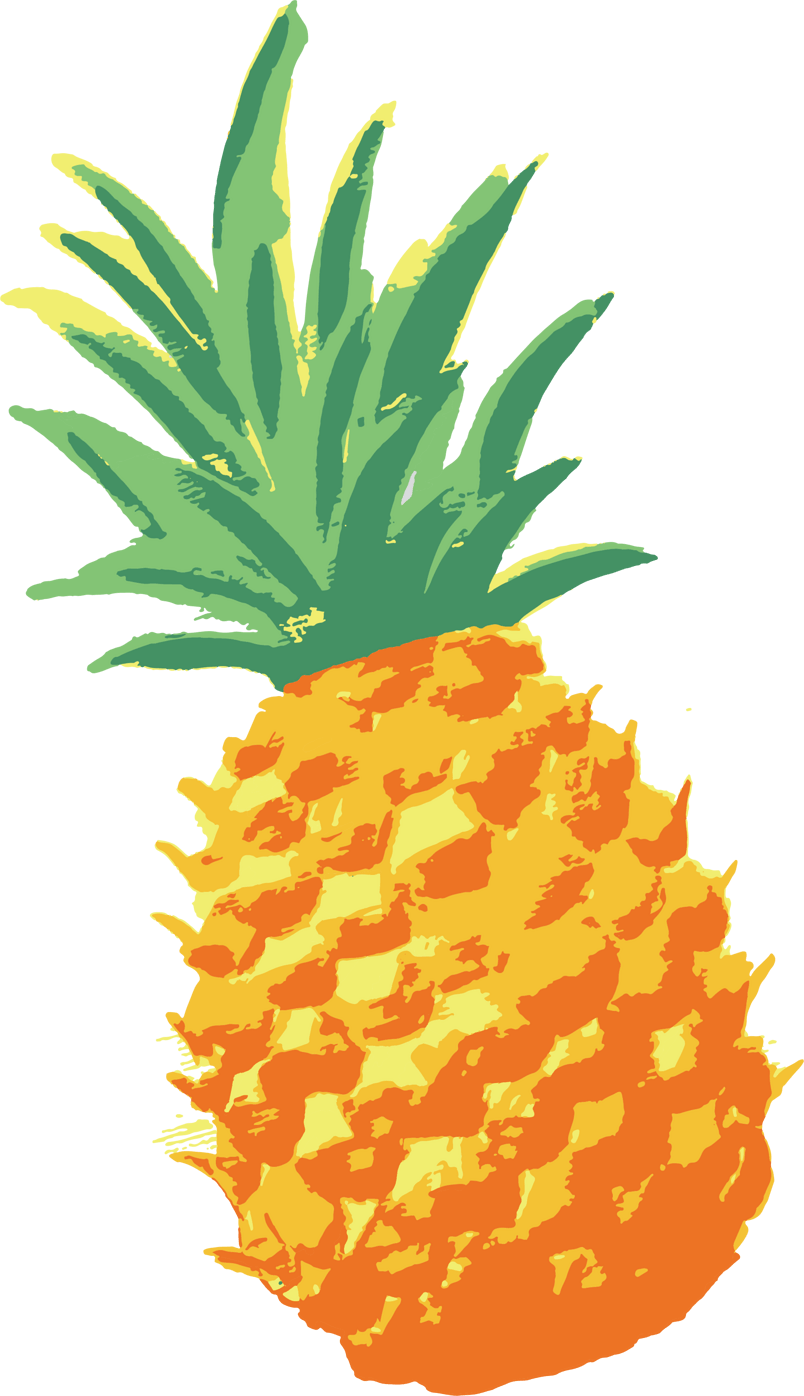 804x1396 Download Network Ananas Pineapple Watercolor Vector Graphics
