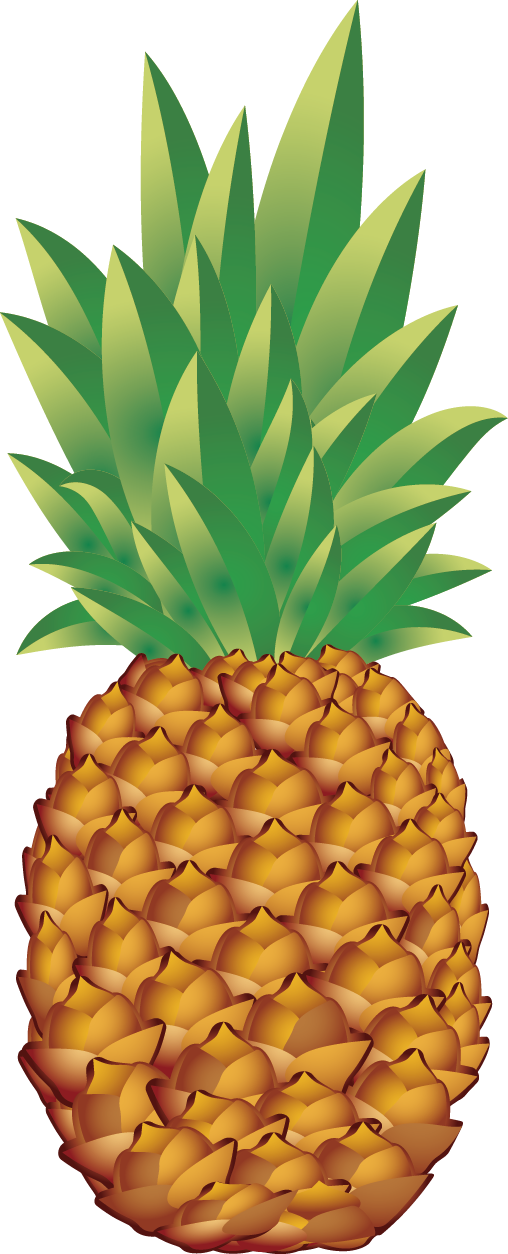 508x1254 Png Sector Pineapple Png Vector Clipart Image