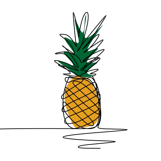 Pineapple One Continuous Line Art Drawing Vector Illustration 640x640 Pineapple One Continuous Line Art Drawing Vector Illustration