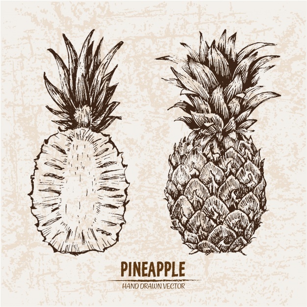 Pineapple Vectors, Photos And Free Download 626x626 Pineapple Vectors, Photos And Free Download