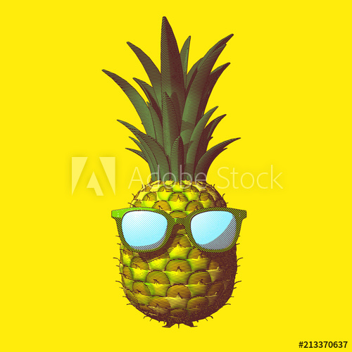 Pineapple Drawing Illustration Isolated On Yellow Bg 500x500 Pineapple Drawing Illustration Isolated On Yellow Bg