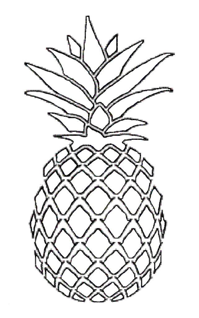 Sketch Clipart Pineapple 642x1024 Sketch Clipart Pineapple