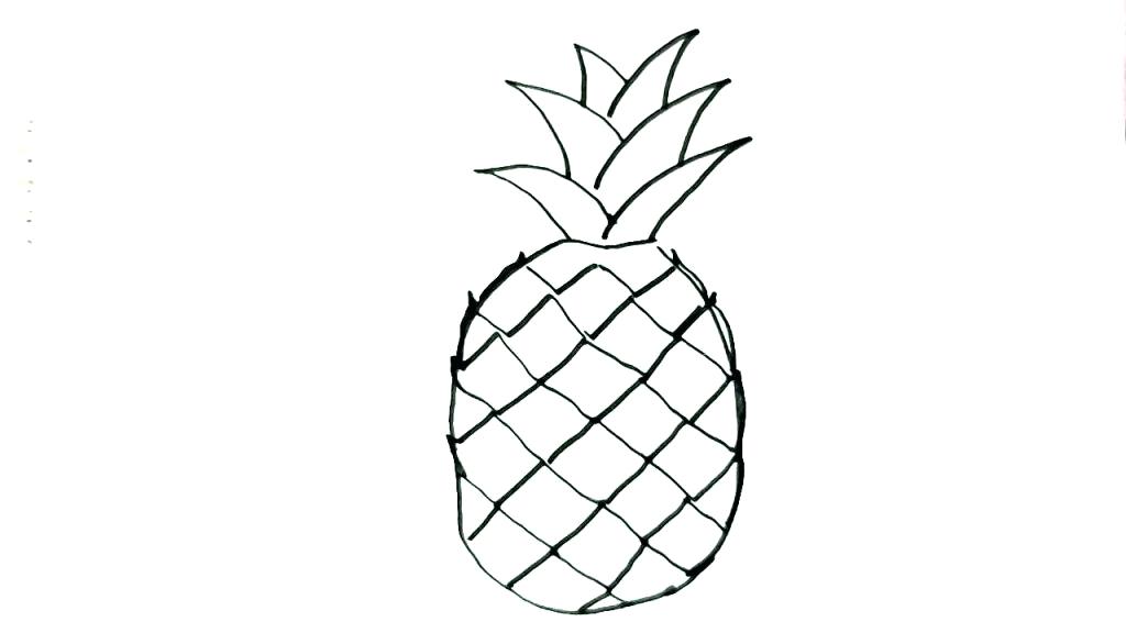 Drawing A Pineapple 1024x576 Drawing A Pineapple